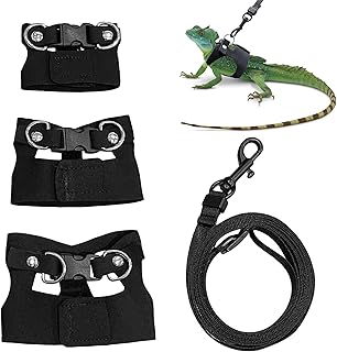 Bearded Dragon Harness Set