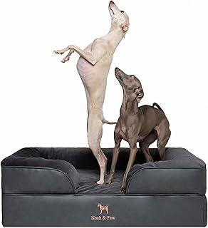 NOAH & PAW Orthopedic Dog Bed