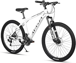 AVASTA AV300 Mountain Bike