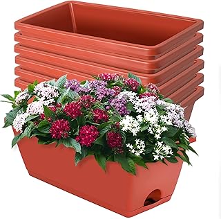 Rectangular Garden Planter Boxes