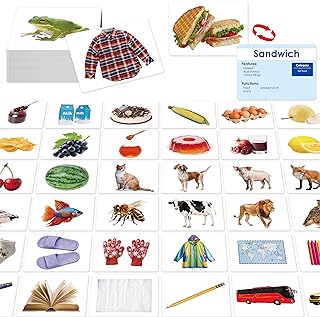 Autism ESL Vocabulary Flashcards