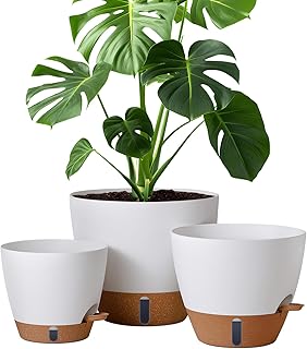 Montresor Self-Watering Indoor Pots