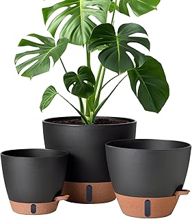 Large Self-Watering Indoor/Outdoor Plant Pots