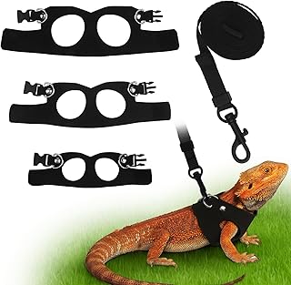 Bearded Dragon Adjustable Leash Set
