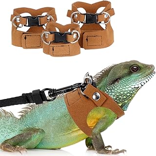 Bearded Dragon Harness Leash Set