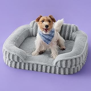 LE SURE Orthopedic Dog Bed