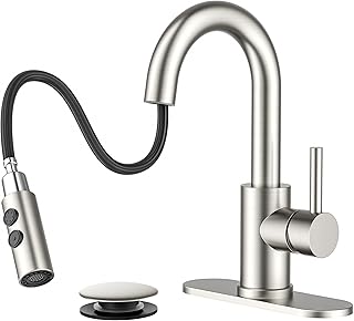 FORIOUS 1-Hole Pull-Down Bathroom Faucet