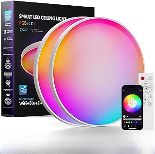 Smart RGB Ceiling Light