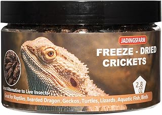 Freeze Dried Crickets 2.8 Oz