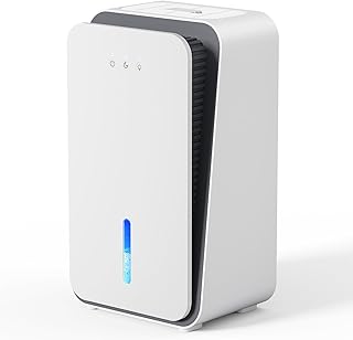 Ultra-Quiet Home Dehumidifier