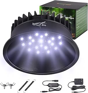 UVB Reptile Light with Timer