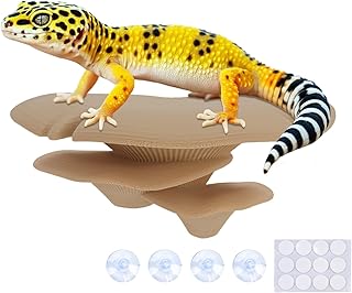 Reptile Tank Mushroom Decor