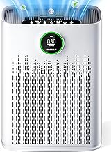 OxyLabs HEPA 360° Air Purifier