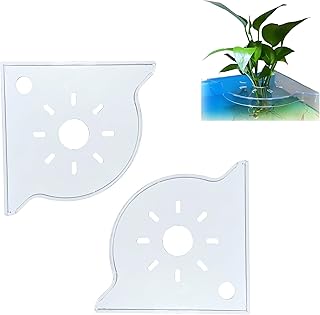 Rimless Aquarium Plant Holder