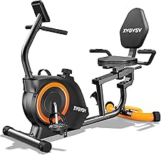 Quiet Home Recumbent Bike