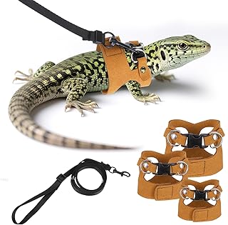 Bewudy Bearded Dragon Harness Set