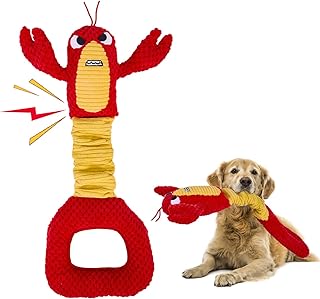 Squeaky Plush Dog Chew Toys