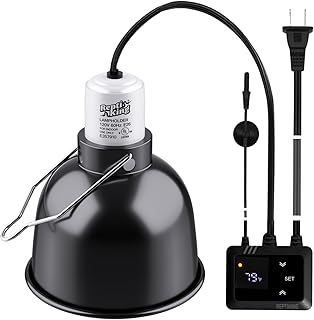 Reptile Heat Lamp with Thermostat