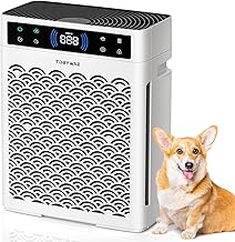 Large Room Air Purifier