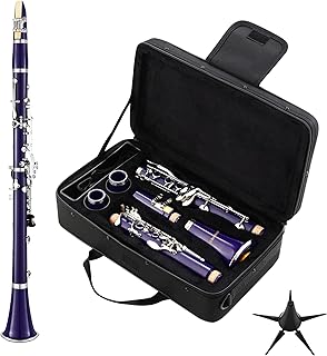 Bb Clarinet, Nickel-Plated B Flat Clarinet for Student Beginner with Case and Stand Musical Instrument for School Band (Purple)