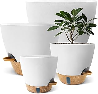 Large Self-Watering Plant Pots