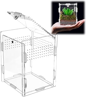 Hermit Crab Tank Jumping Spider Enclosure Acrylic Terrarium Habitat High Clarity Escape-Proof Small Terrarium for Hermit Crab Jumping Spiders Frogs and Small Reptiles Ideal for Reptile Keepers