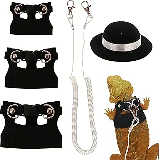 Adjustable Reptile Leash Set