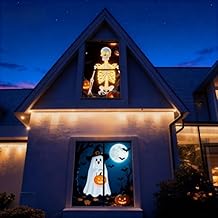 Portable Holographic Projector Screen