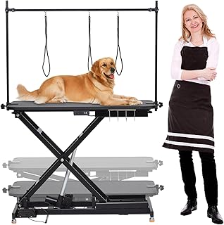 Professional Electric Dog Grooming Table