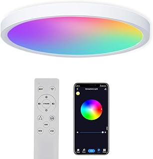 Smart RGBCW LED Ceiling Light