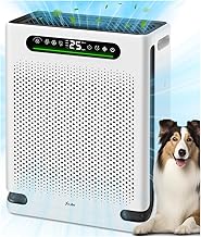 Large Room HEPA Air Purifier