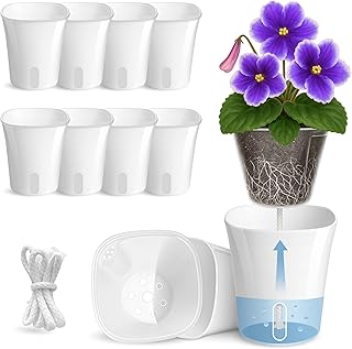 Self-Watering Indoor Planters (10-Pack)