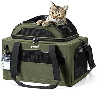 Pecute Expandable Pet Travel Carrier