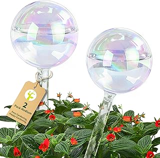 Rainbow Gradient Watering Globes