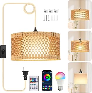 Plug-in Pendant Hanging Lamp